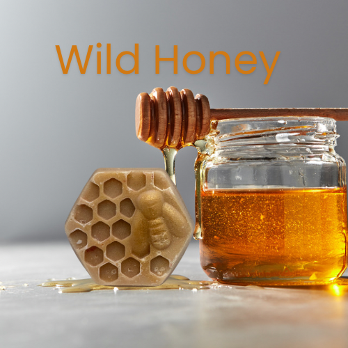 Wild Honey Wax Melt