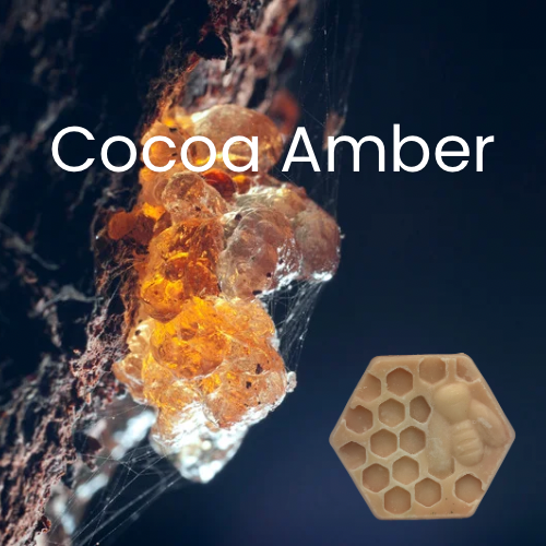 Cocoa Amber Wax Melt